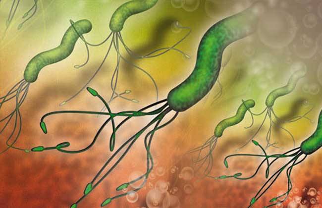 感染幽门螺杆菌就会得胃癌？
